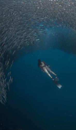 Customer photo review of Luna Cherry Blossom Red Long Sleeve