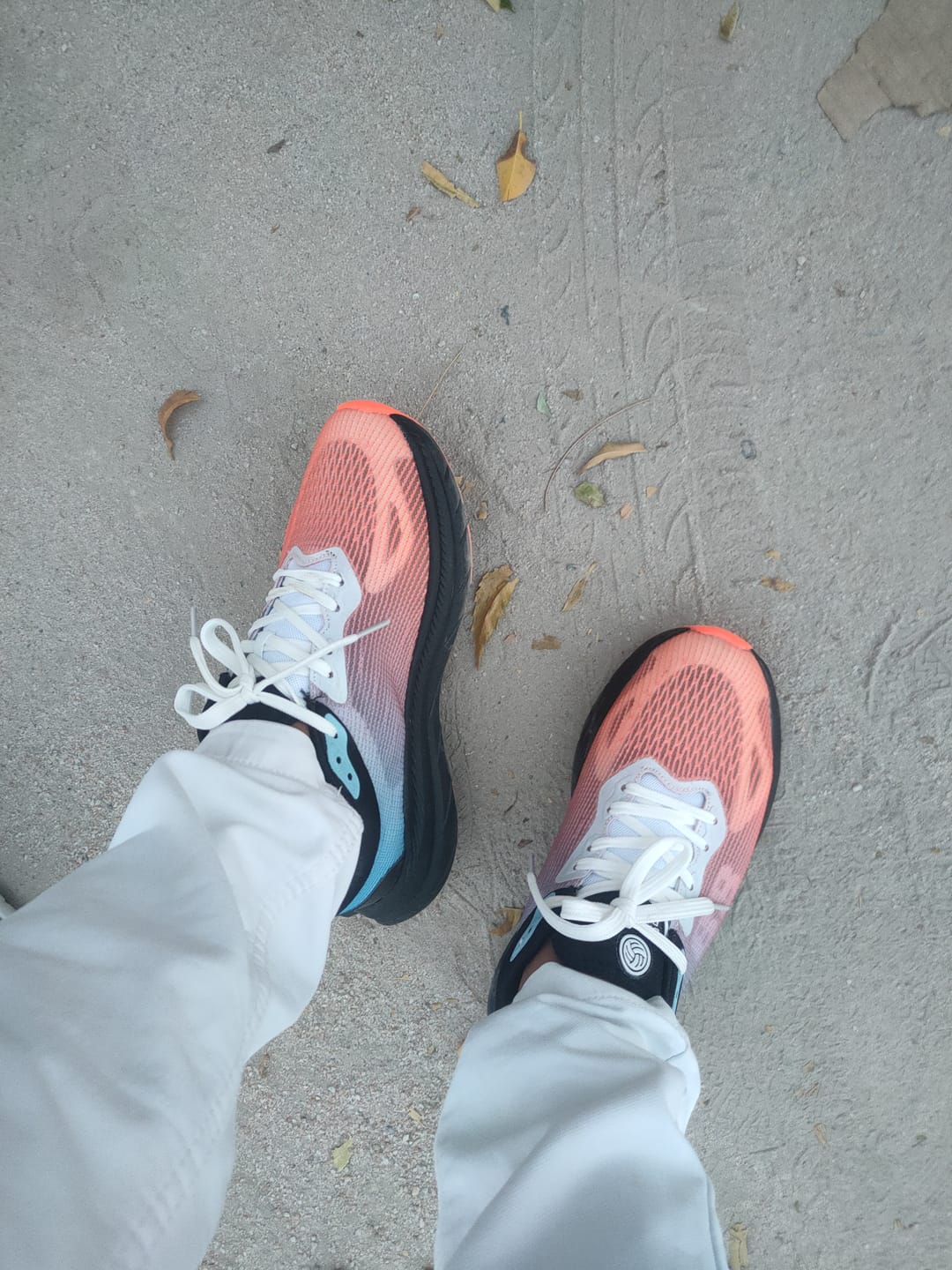 Customer photo review of Bacca Bucci Flux Pioneers