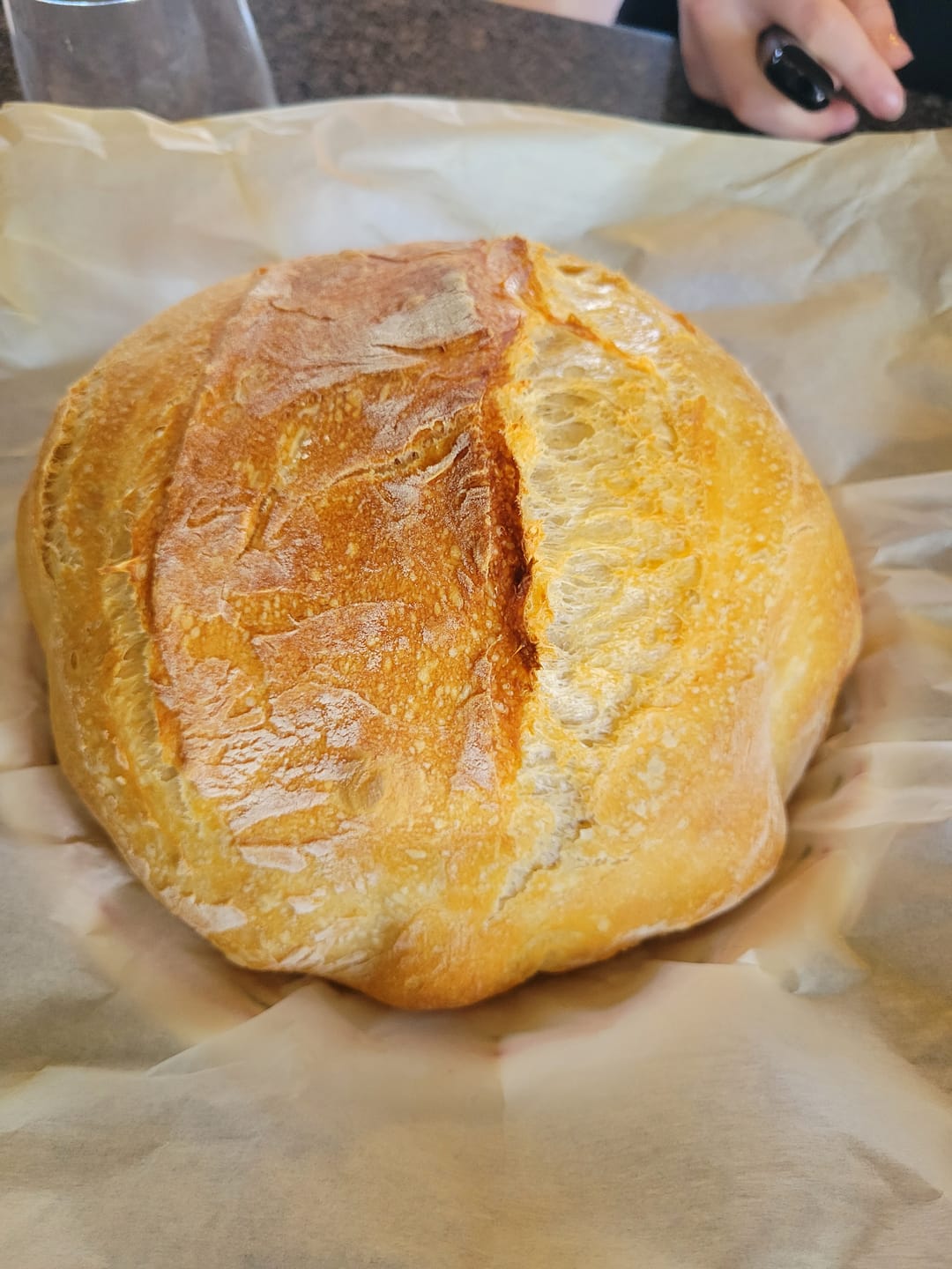 Customer photo review of Dehydrated Sourdough Starter Kit