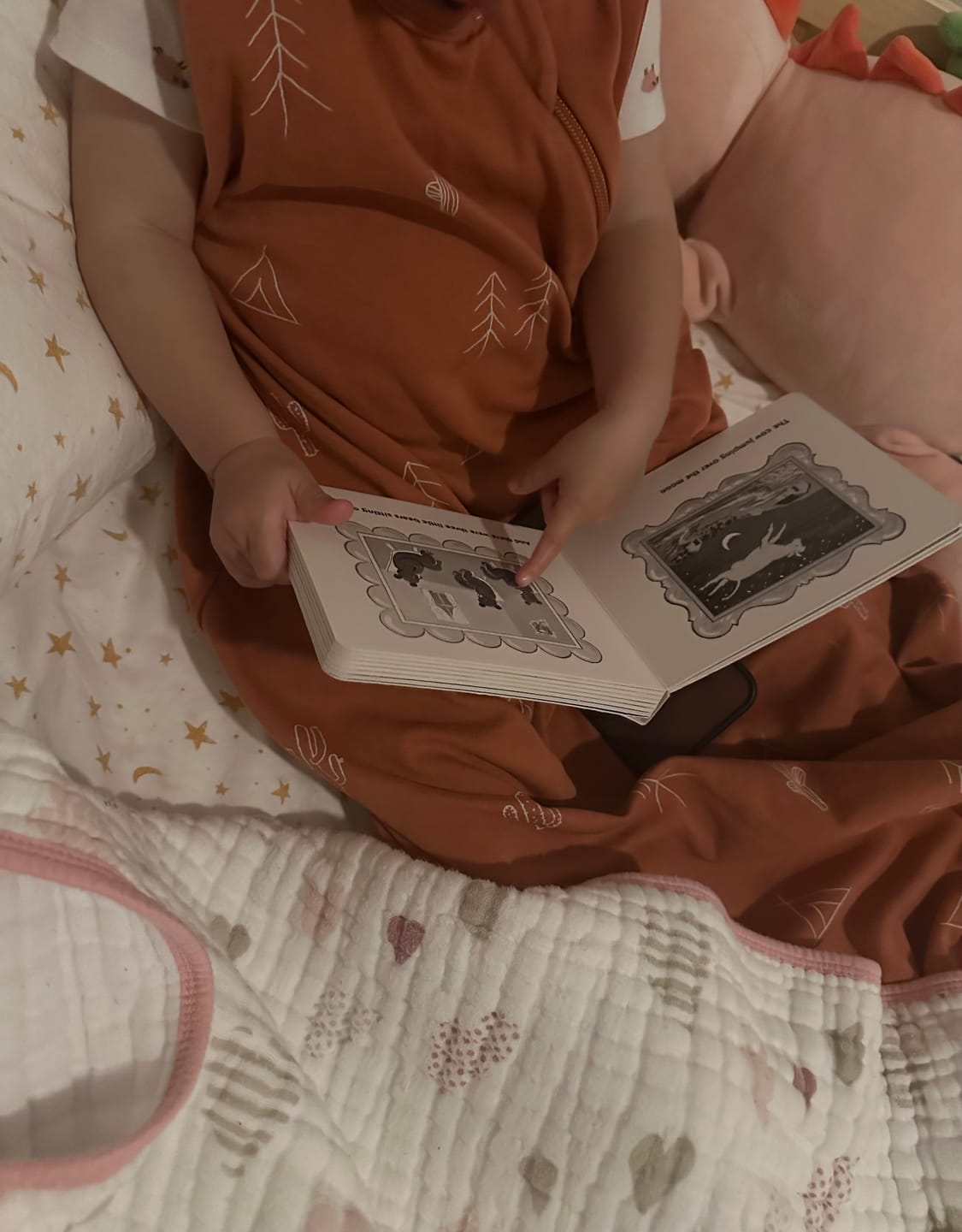 Customer photo review of Ecolino® Organic Cotton Classic Baby Sleep Bag or Sack, Desert
