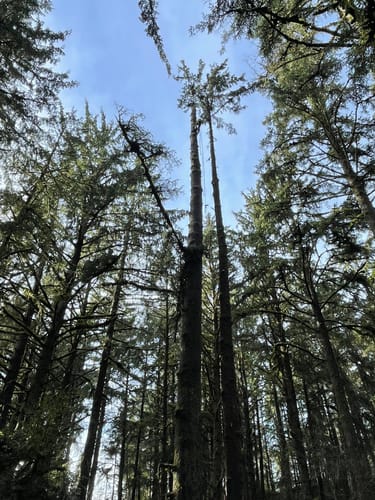 Customer photo review of The Black Edition Unlined Waterproof Rain Jacket