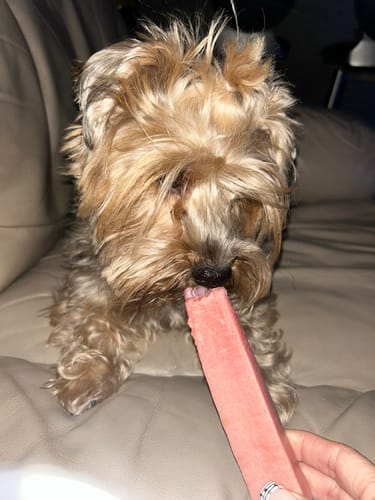 Customer photo review of 5-6 Inch Standard Braided Collagen Stick