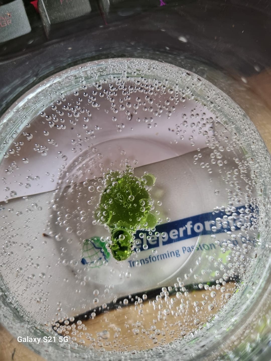 Customer photo review of Turtle Glass