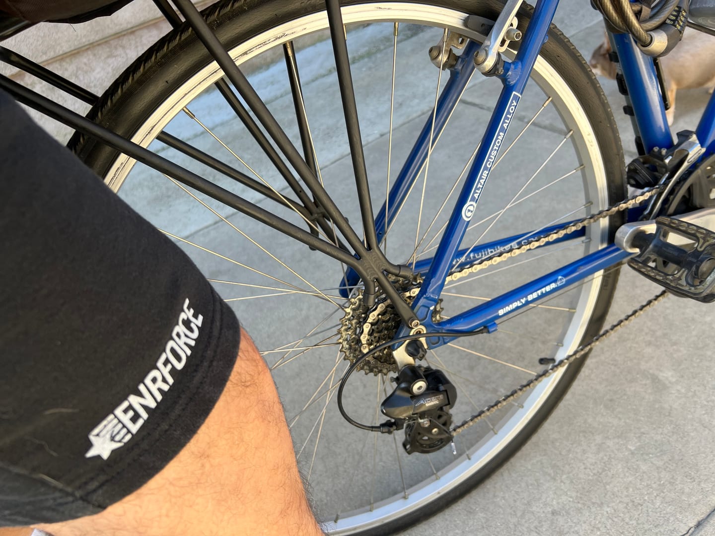 Customer photo review of Shorts