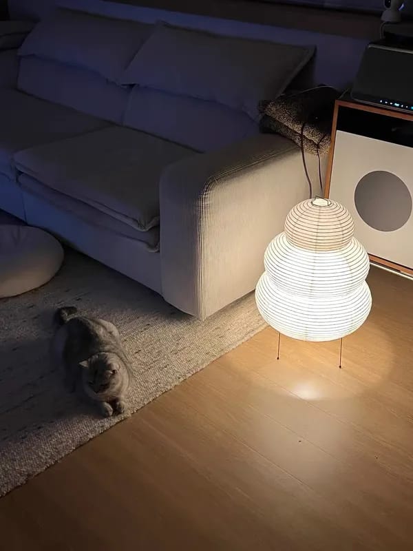 Customer photo review of Kumo Washi Paper Floor Lamp