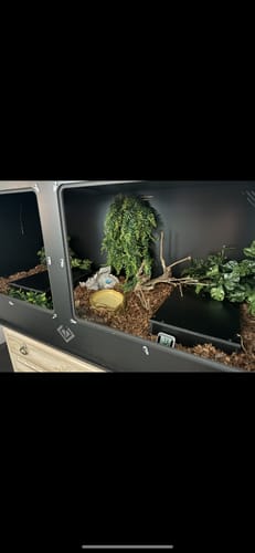 Customer photo review of XT4 BIO (48Lx24Dx24H) - STACKABLE