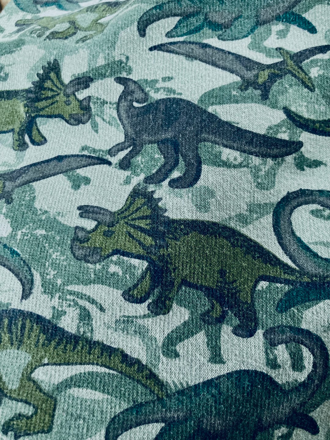 Customer photo review of Dinosaurs Sweatshirt Fabric