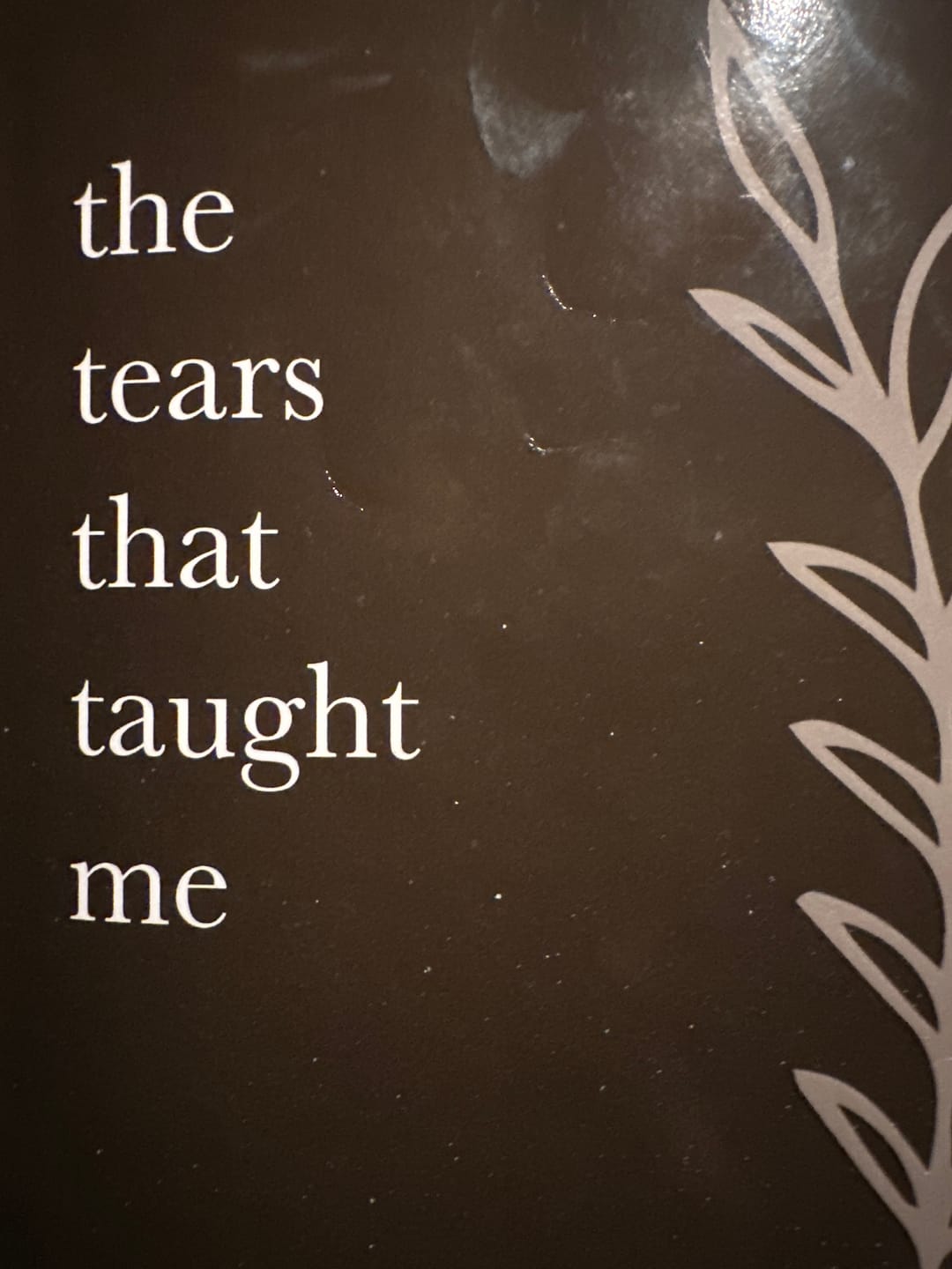 Customer photo review of The Tears That Taught Me (Paperback)