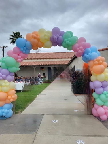 Customer photo review of 10x8 Ft Aluminum Balloon Arch Frame Wedding Arch Stand