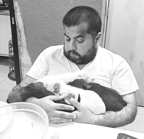 Customer photo review of Pet-Gard Puppy Kitten