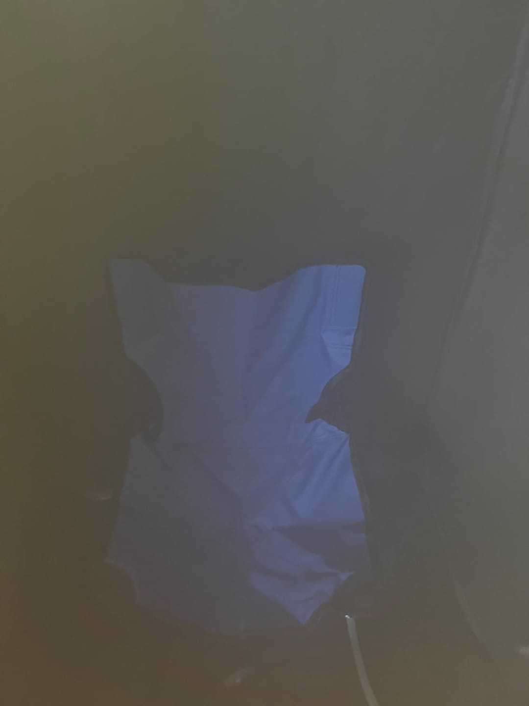 Customer photo review of Runitude Portable Sauna Tent
