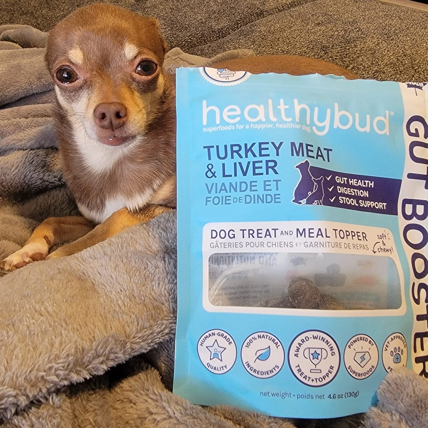 Customer photo review of Turkey Gut Booster