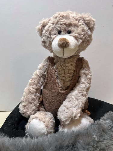 Customer photo review of Henry the bear