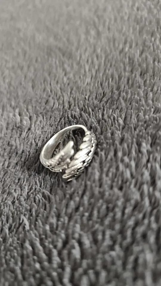 Customer photo review of טבעת כנפיים מידה אחת