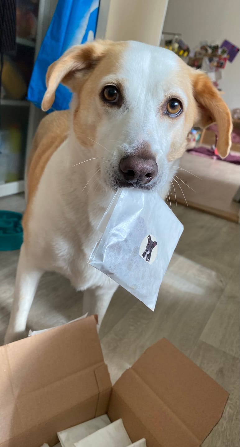 Customer photo review of Proefpakket