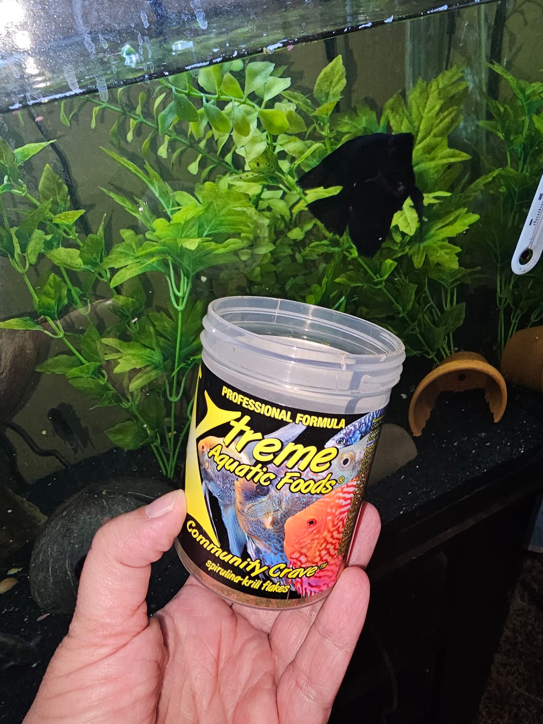 Customer photo review of Xtreme Community Crave Flakes. Krill/Spirulina
