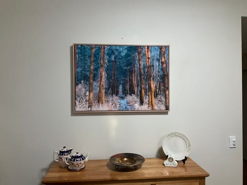 Customer photo review of Path Through the Pines