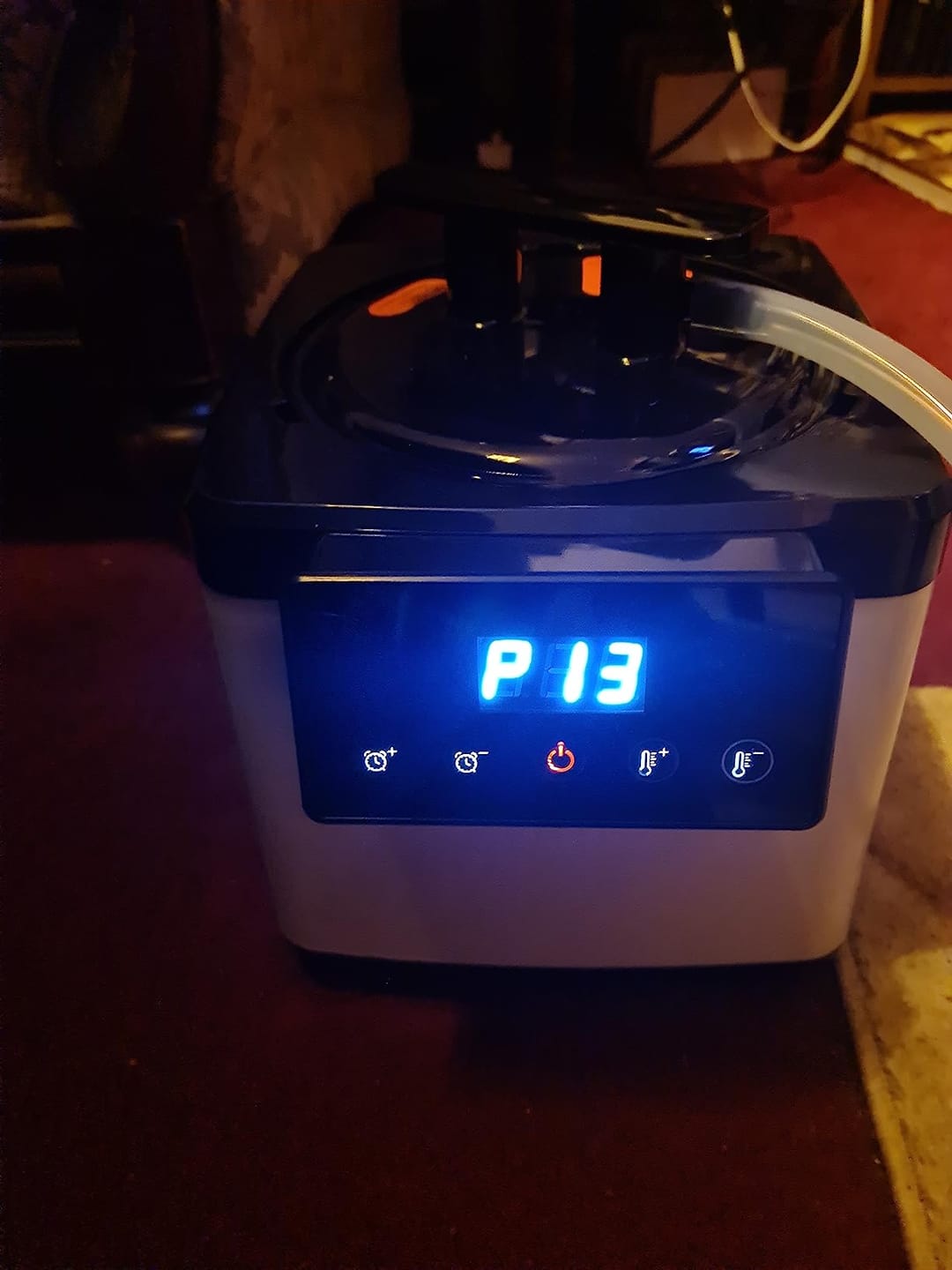 Customer photo review of Runitude Portable Sauna Tent