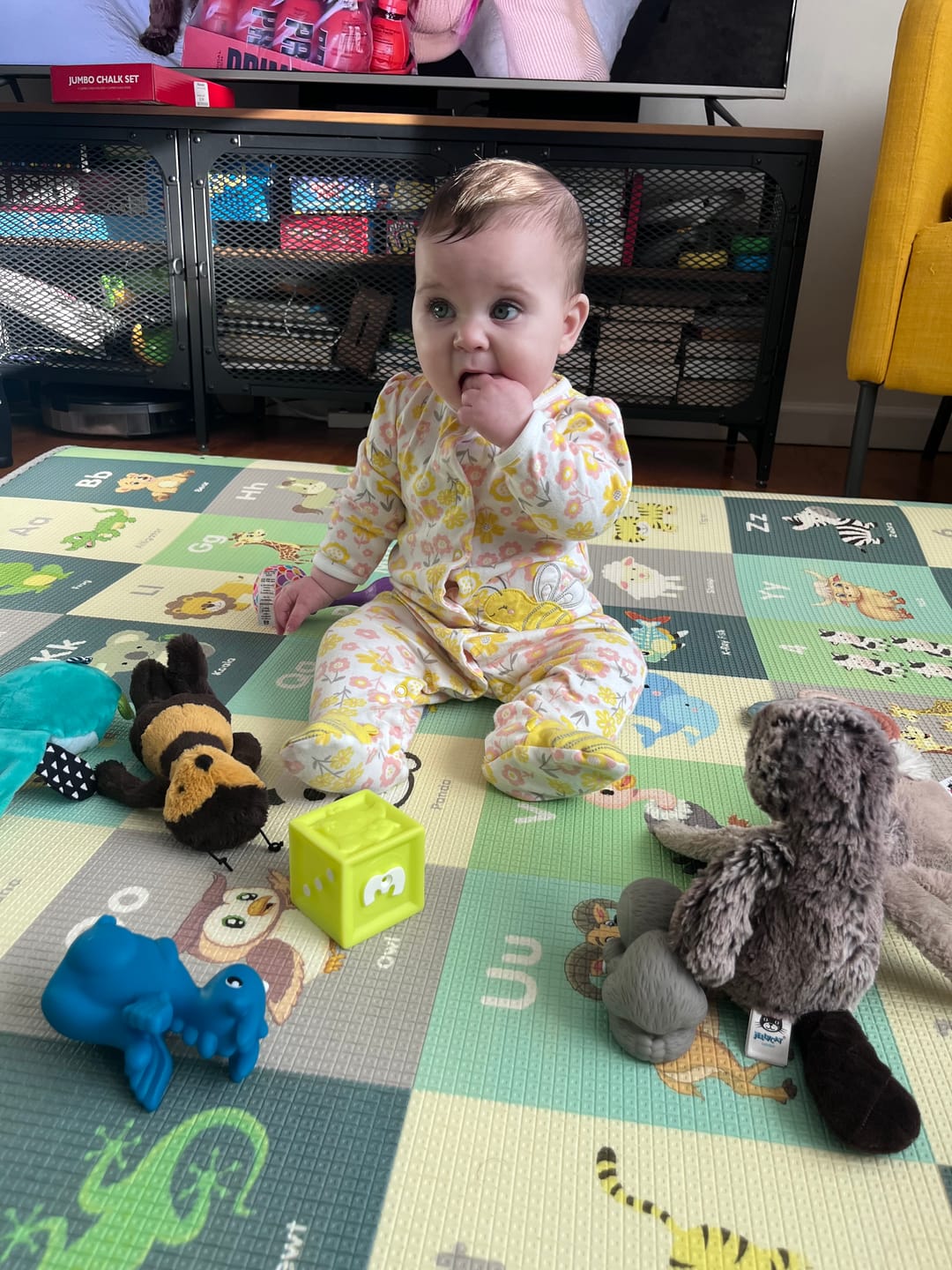 Customer photo review of Driftwood Pony Lovie