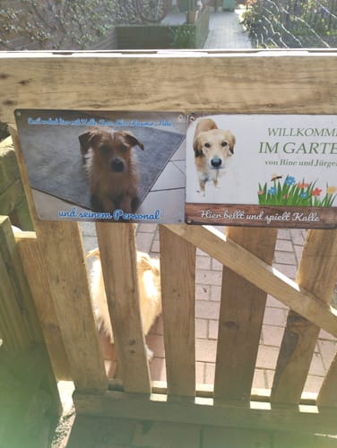 Customer photo review of Hunde-Türschild mit Foto & Wunschtext (UV- UND WETTERFEST)