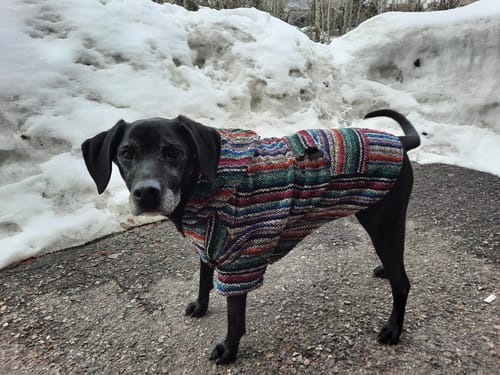 Customer photo review of Playa Poncho - Surprise Color