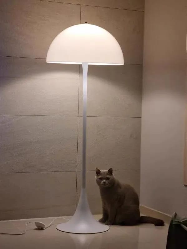 Customer photo review of Panthella Floor Lamp