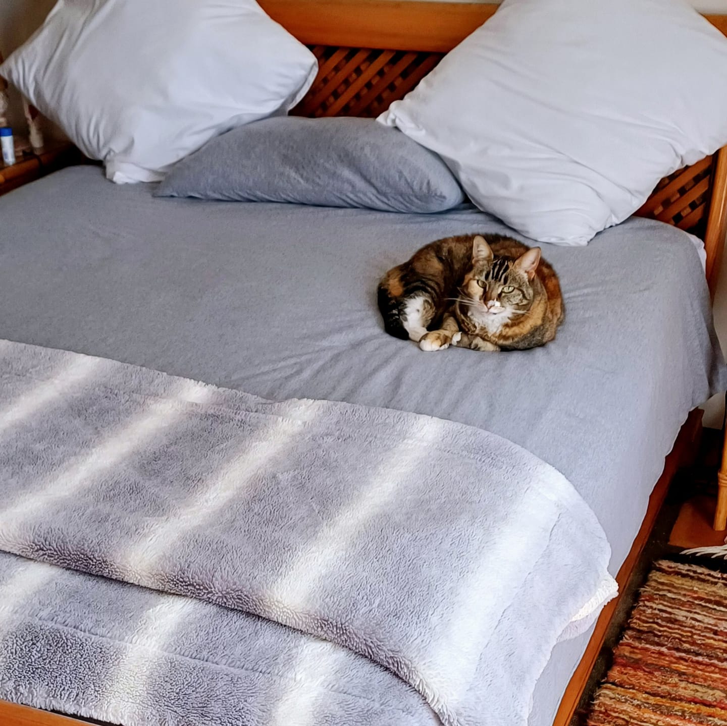 Customer photo review of Soft Grey Duvet Cover Set