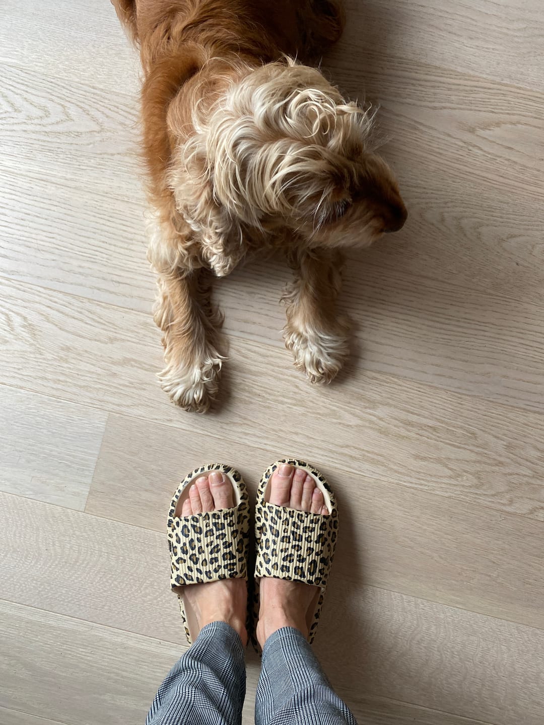 Customer photo review of HappyFlops Limited Editions