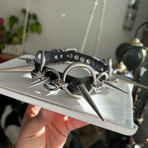 Customer photo review of Matrix Collar