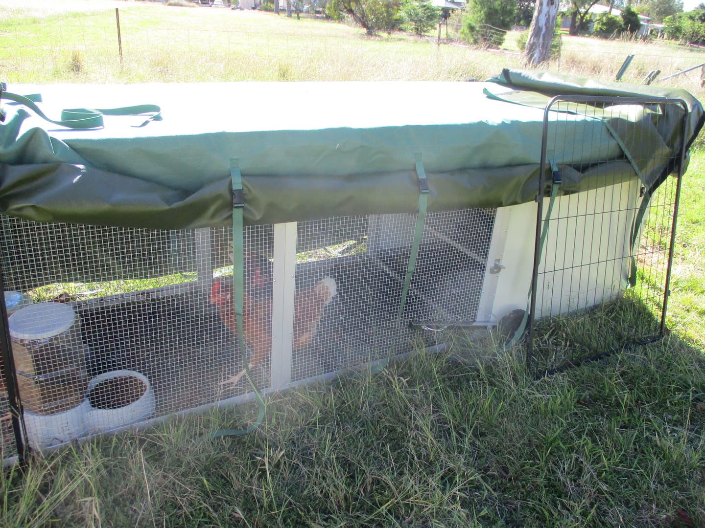 Customer photo review of Canvas Cover for Chicken Coop / Chicken Tractor