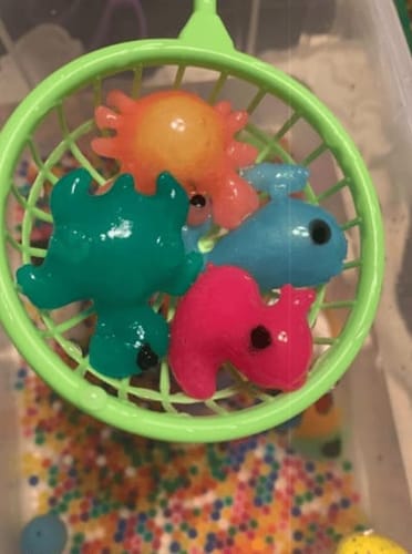 Customer photo review of Magic Water Creatures