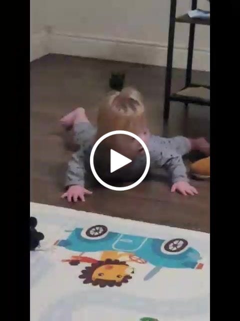 Customer video review of The Crawly Crab™