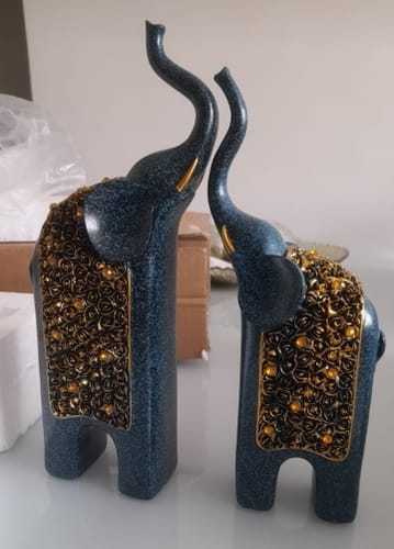 Customer photo review of Elephantine Expression Sculpture (2pcs)