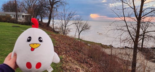 Customer photo review of Chucklz Plushy