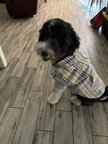 Customer photo review of Playa Poncho - Surprise Color