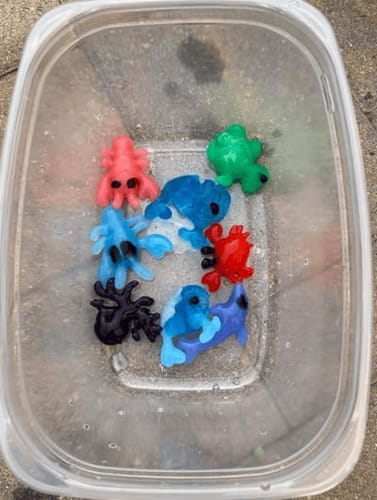 Customer photo review of Magic Water Creatures