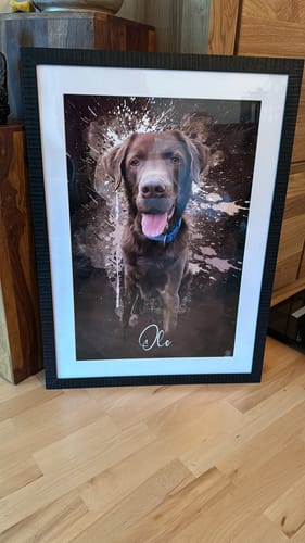 Customer photo review of Graffiti Pawtrait