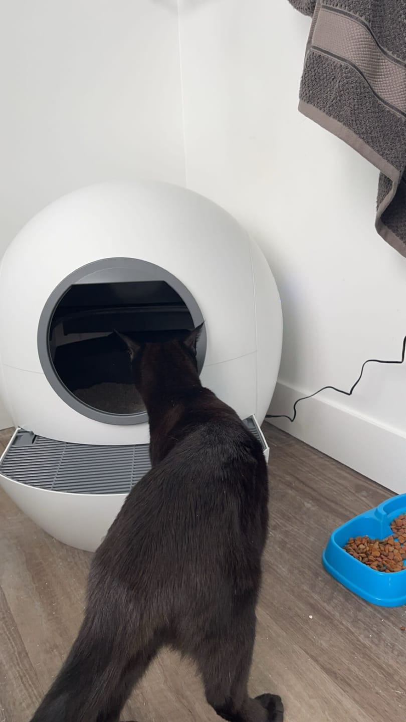 Customer photo review of PaWz Automatic Smart Cat Litter Box Self-Cleaning