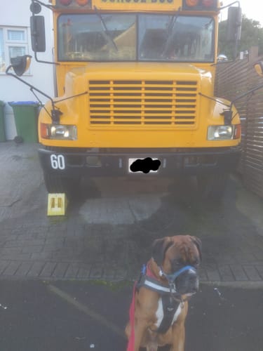 Customer photo review of Calibra Dog Life Sensitive Rabbit