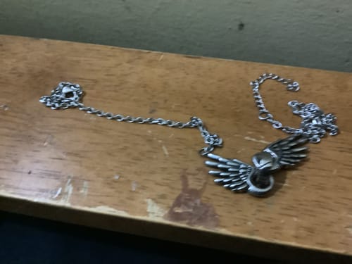 Customer photo review of The Ascendant