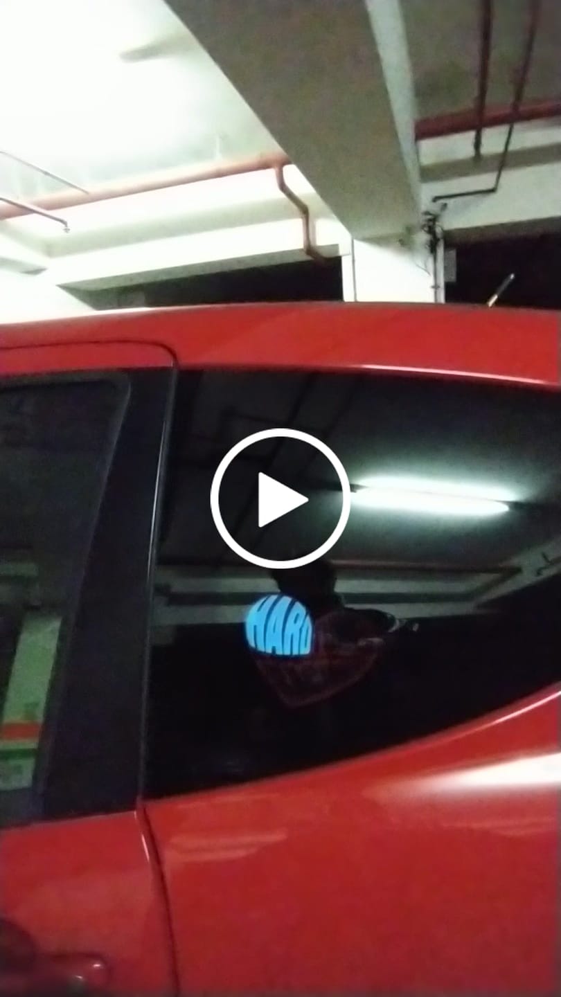 Customer video review of Hardtuned Heart Electric Sticker