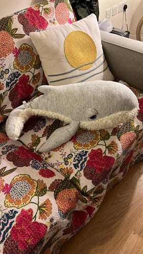 Customer photo review of The Whale