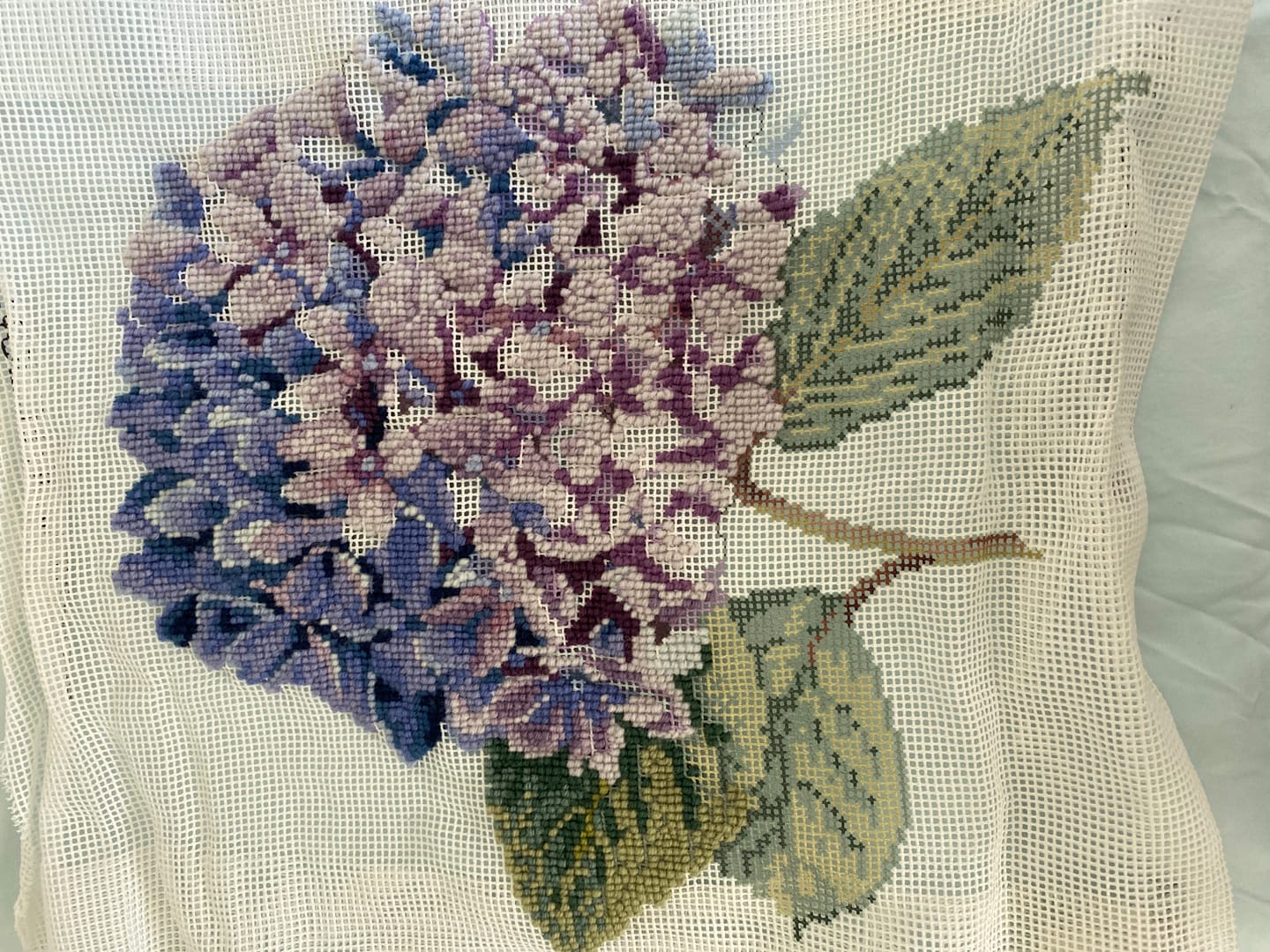 Customer photo review of Hydrangea