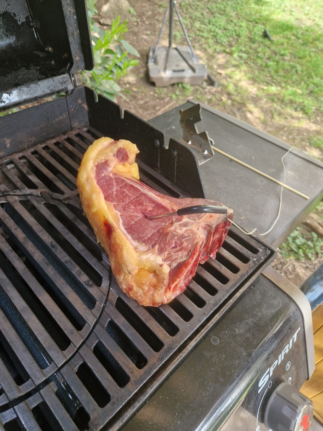 Customer photo review of Fiorentina Rubia Gallega ESP