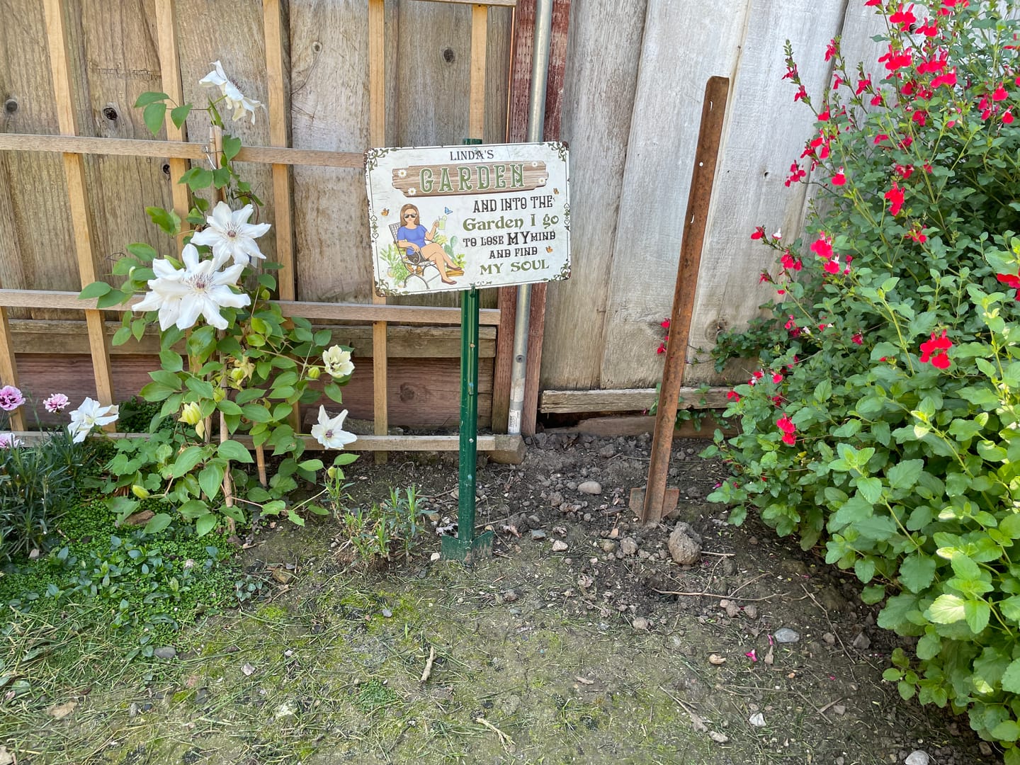 Customer photo review of And Into The Garden I Go Gardening Girl - Garden Sign - Personalized Custom Classic Metal Signs