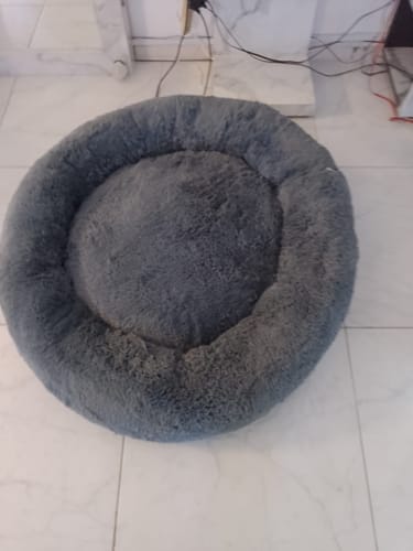 Customer photo review of Cama Antiestrés Para Perros