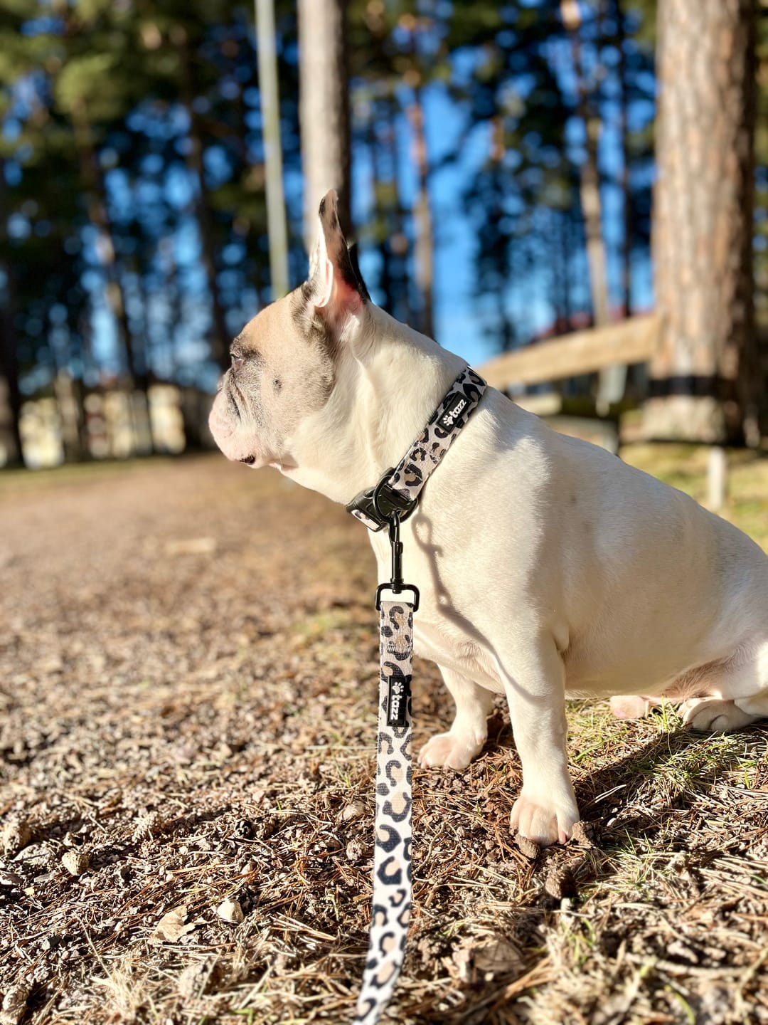 Customer photo review of Halsband - Just Leo