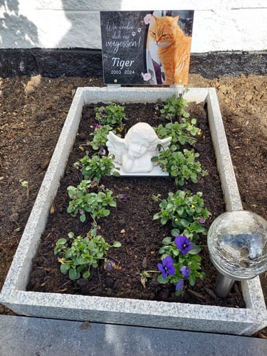 Customer photo review of Katzen Gedenktafel mit Foto & Spruch (UV- & Wetterfest)