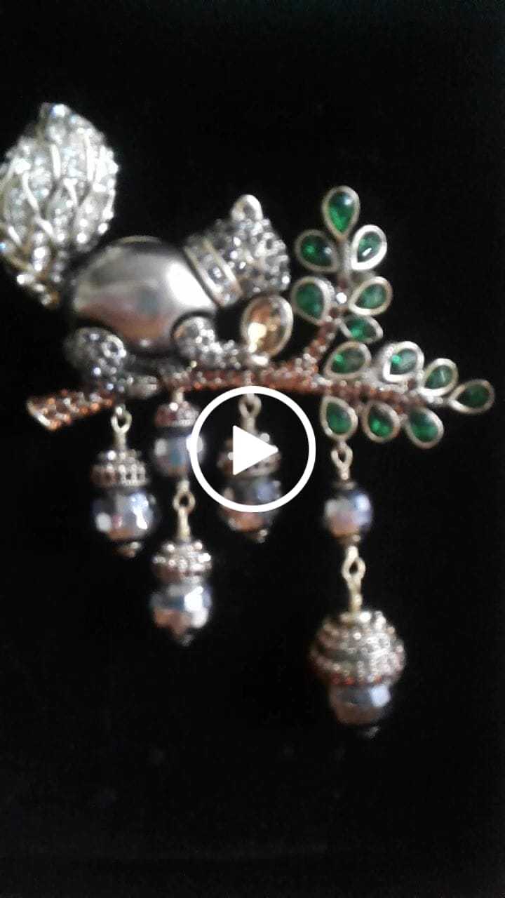 Customer video review of HEIDI DAUS® "Squirreling Away" Beaded Crystal Squirrel Pin