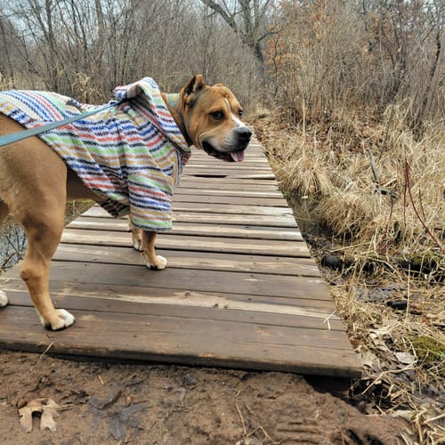 Customer photo review of Playa Poncho - Surprise Color